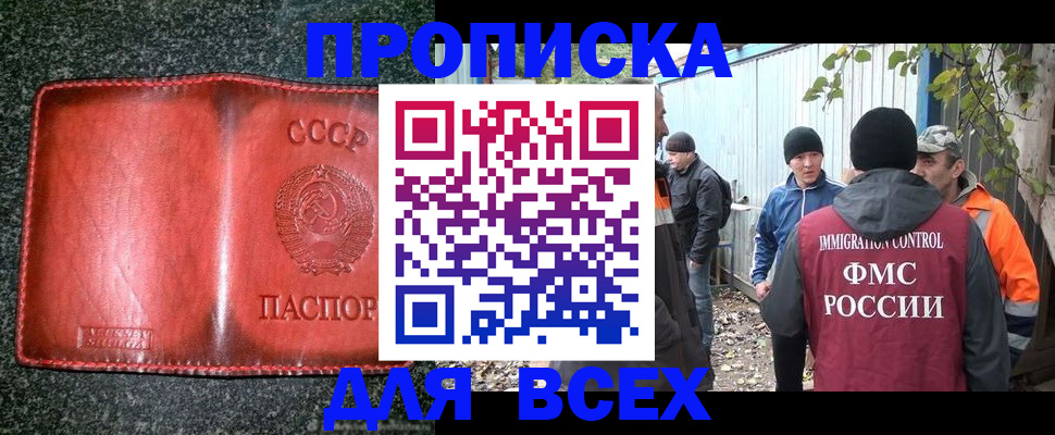 временная регистрация поиск в Палласовке